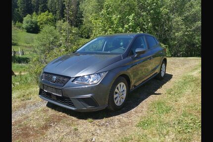 Seat Ibiza 53.800 km 13.400 &euro; dornstetten 72280