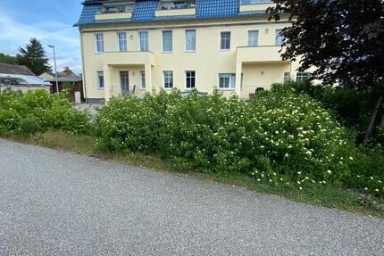Tolle 2-Zimmer Wohnung nahe Scharmützelsee, Balkon, Einbauküche 2 zimmer