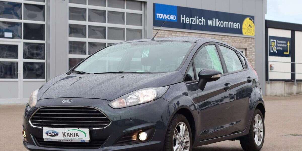 Ford Fiesta 119.100 km 6.574 &euro; Eutin 23701