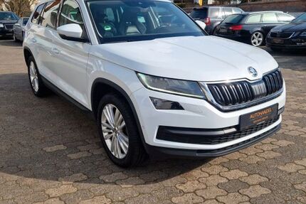 Skoda Kodiaq 169.173 km 22.950 &euro; Laufach 63846