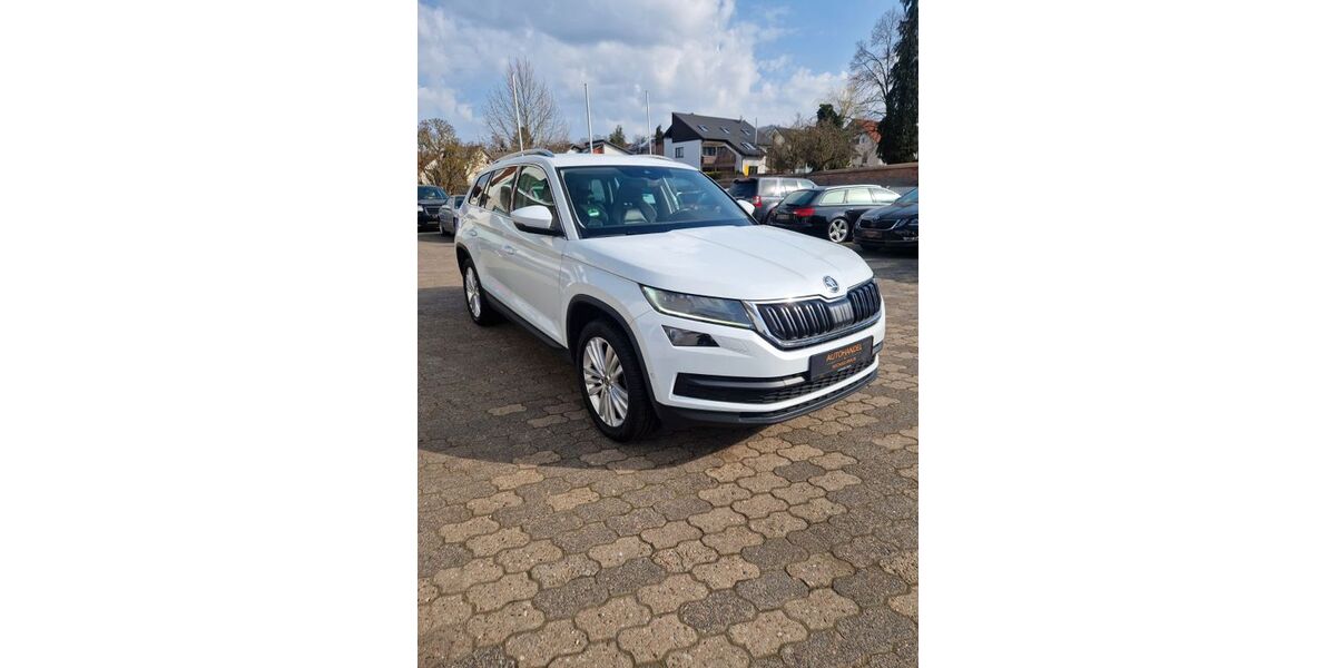 Skoda Kodiaq 169.173 km 22.950 &euro; Laufach 63846