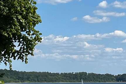 Haus zum Kaufen in Seedorf 725.000 € 130 m² 6 zimmer