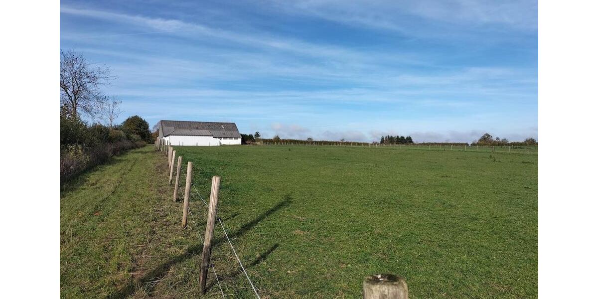 Einfamilienhaus Pronsfeld - 498.000&euro; | Angebot:26524524