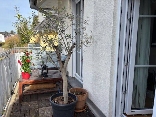 Doppelhaushälfte Haar - 6 Zimmer, 153 m&sup2;, 1.249.000&euro; | Angebot:26841916