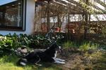 Einfamilienhaus Wingst - 7 Zimmer, 110 m&sup2;, 215.000&euro; | Angebot:26416210