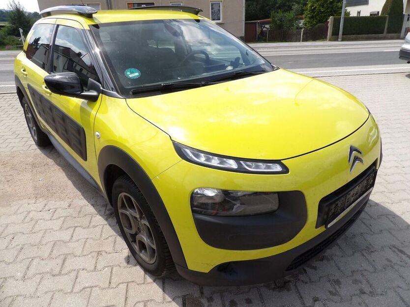 C4 Cactus