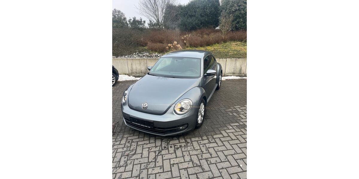 VW Beetle 182.500 km 6.500 &euro; Uelsen 49843