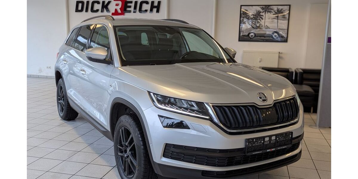 Skoda Kodiaq 215.000 km 19.980 &euro; Homberg (Efze) 34576