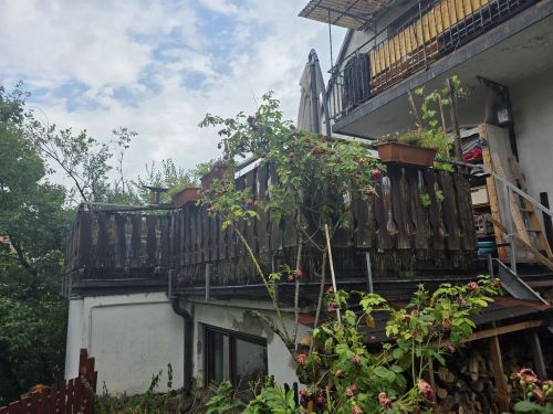 Kleiner versteckter Traum mit viel Grünfläche! Mehrfamilienhaus in 97074 Würzburg-Frauenland (ID 92) - Mehrfamilienhaus, Wohnhaus Würzburg Würzburg | Angebot:24110653