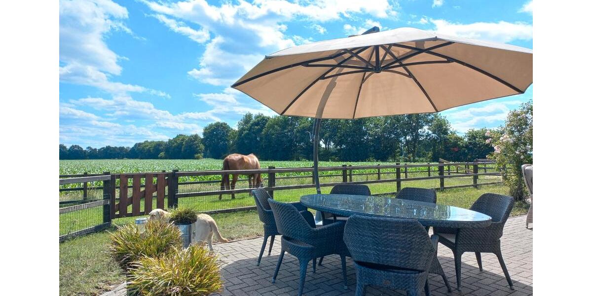 Mehrfamilienhaus, Wohnhaus Emlichheim - 11 Zimmer, 300 m&sup2;, 795.000&euro; | Angebot:26844534