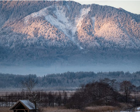 Haus zum Kaufen in München 2.200.000 € 441.44 m² 1 zimmer