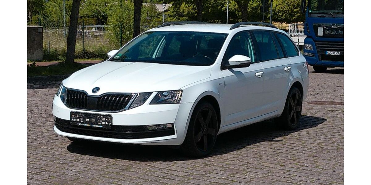Skoda Octavia 179.800 km 9.999 &euro; Demmin 17109