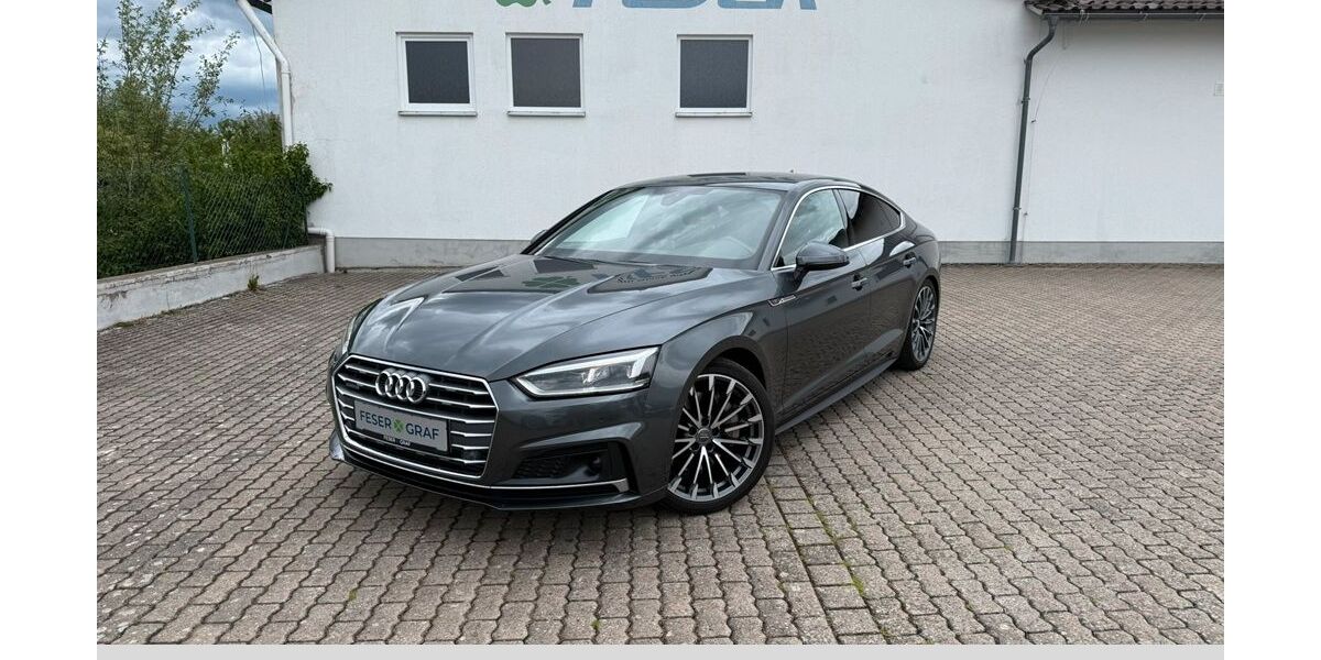 Audi A5 132.300 km 25.870 &euro; Heideck 91180