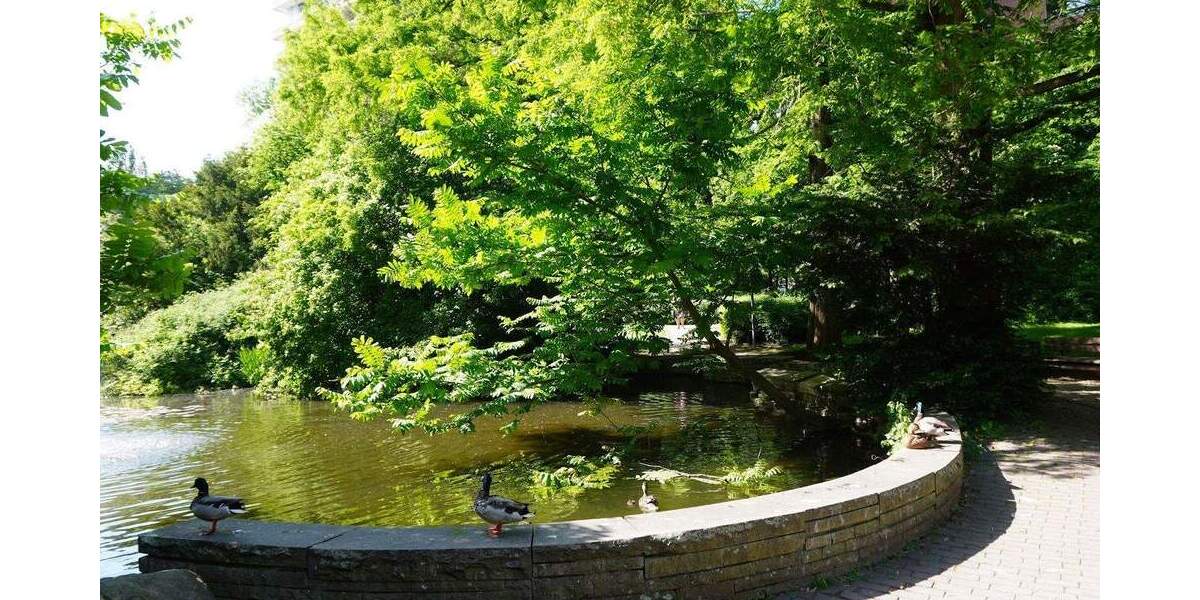 Nur noch einziehen! Modernisierte 4-Zimmer mit 2 Balkonen, neues Bad mit Wanne, Gäste-Bad mit Dusche 4 zimmer