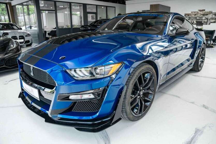 Mustang