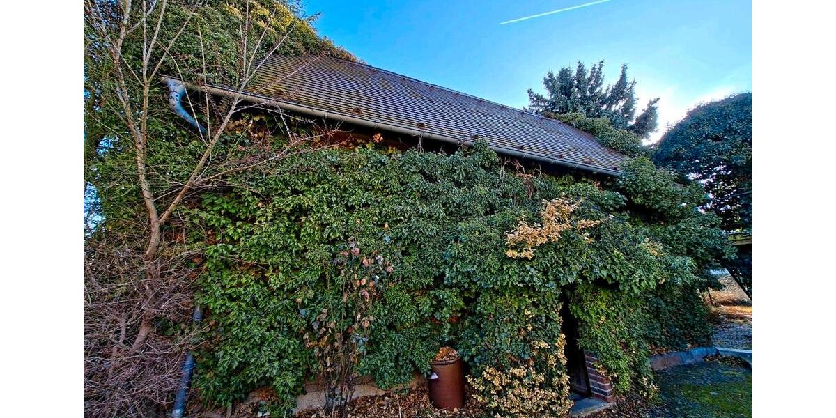 Einfamilienhaus Nobitz - 6 Zimmer, 150 m&sup2;, 40.000&euro; | Angebot:26104942