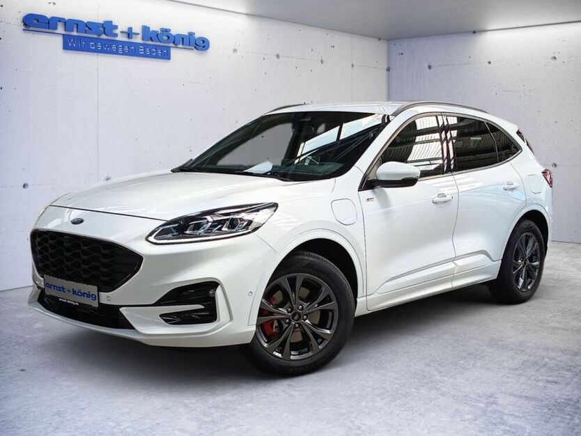Kuga