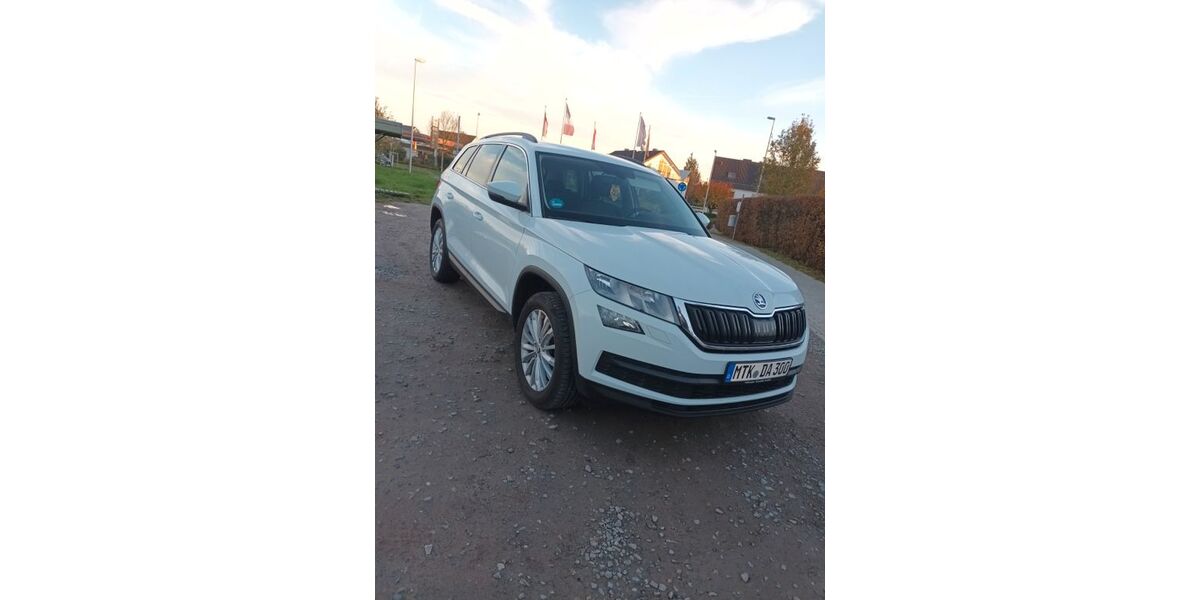Skoda Kodiaq 177.000 km 17.900 € Kriftel 65830