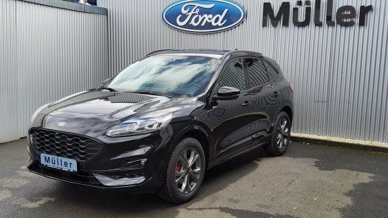 Kuga