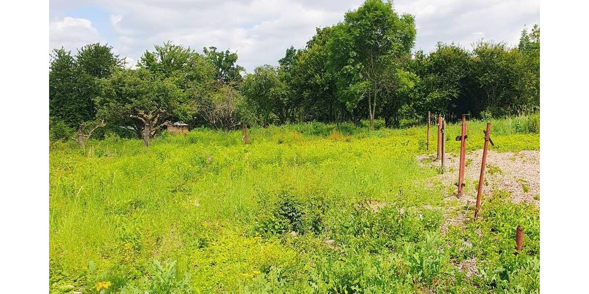 Grundstück Benndorf - 78.000&euro; | Angebot:25701011