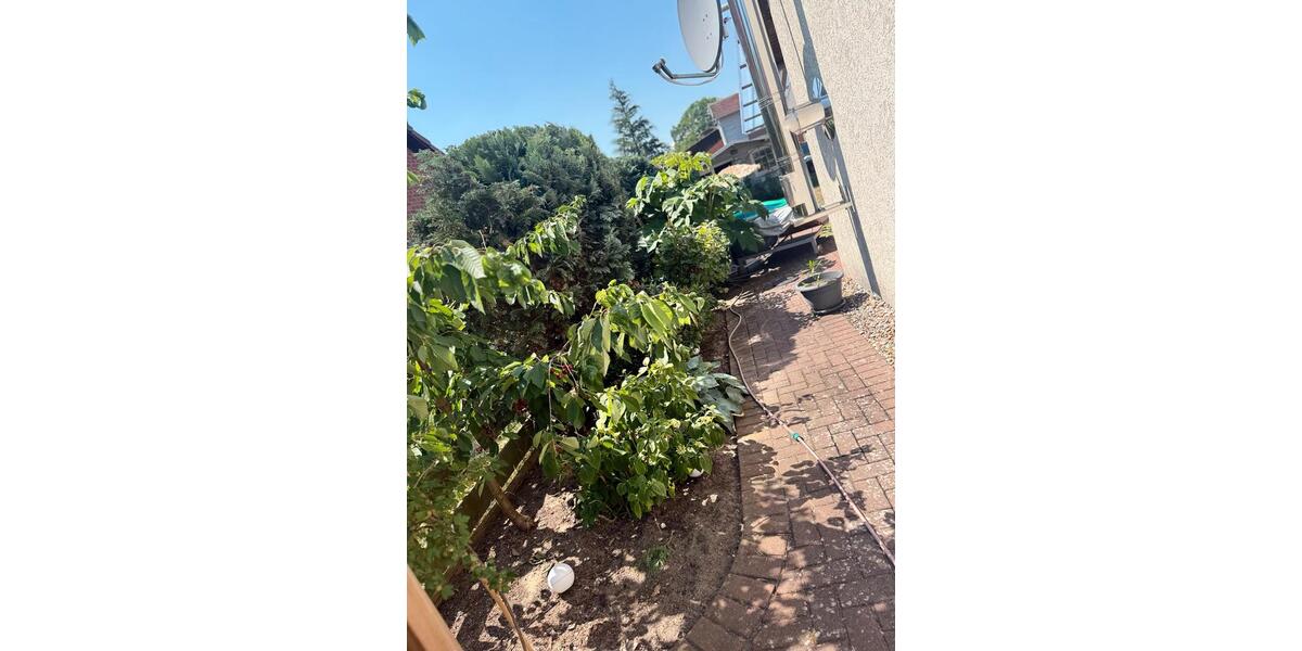 Doppelhaushälfte Calberlah - 4 Zimmer, 110 m&sup2;, 350.000&euro; | Angebot:27204636