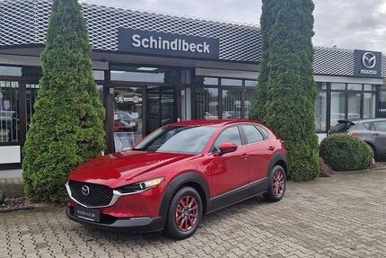 Mazda CX-30 14.605 km 21.990 € Regensburg 93055