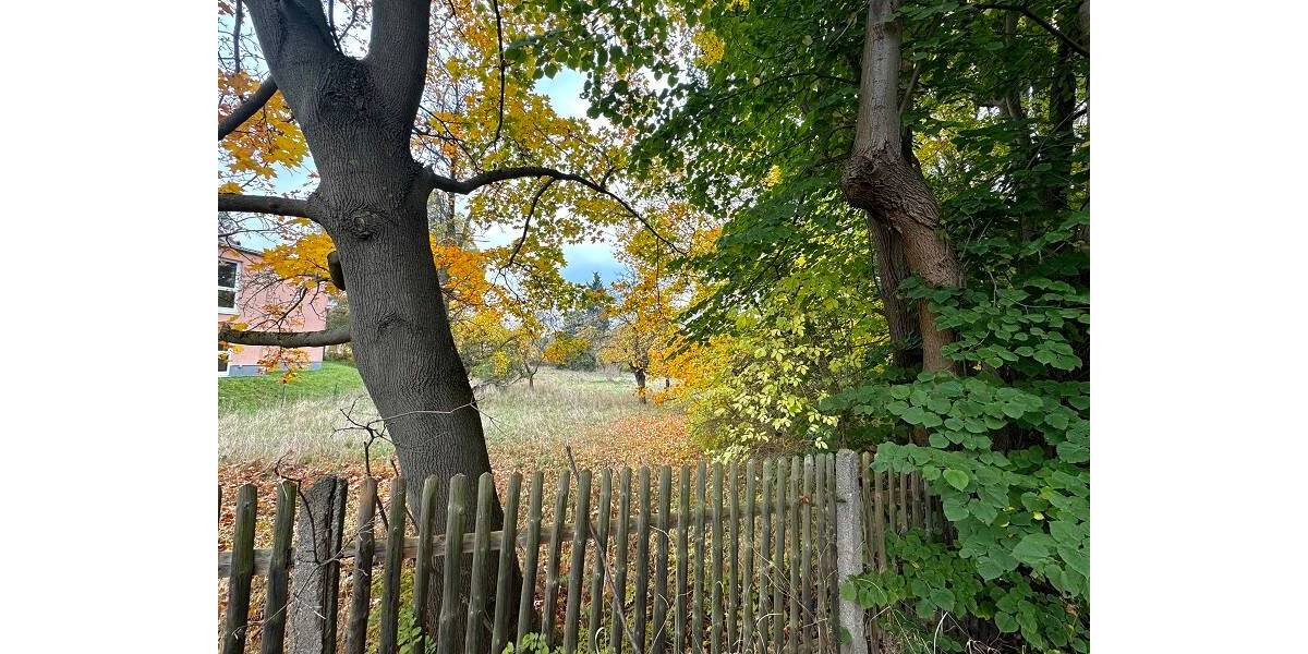 Grundstück Waltershausen - 69.050&euro; | Angebot:25729826