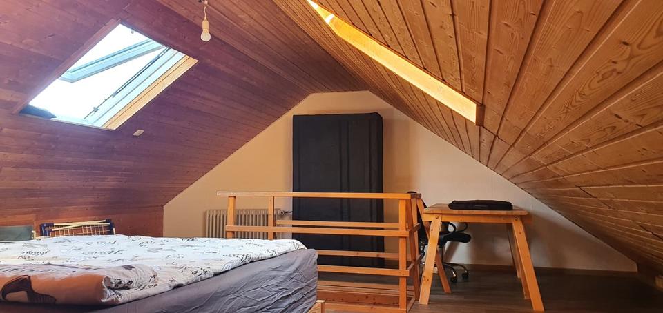 Dachgeschoßwohnung Gießen Schlangenzahl - 1 Zimmer, 55 m&sup2;, 510&euro; | Angebot:25379371