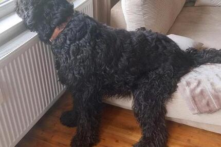 Alarmanlage 2 zimmer