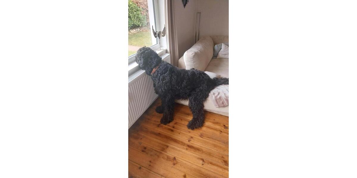 Alarmanlage 2 zimmer