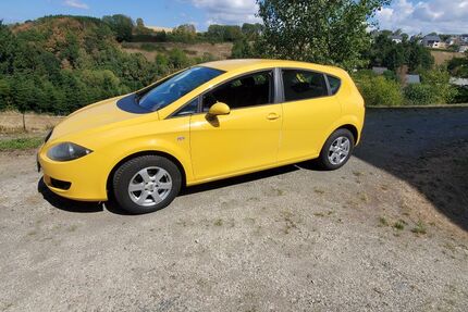 Seat Leon 167.000 km 2.850 &euro; Berglicht 54426
