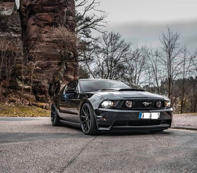 Mustang
