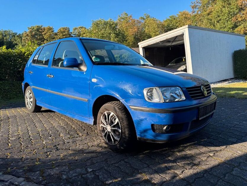 Polo