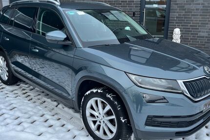 Skoda Kodiaq 195.000 km 16.898 &euro; Neuenhaus 49828