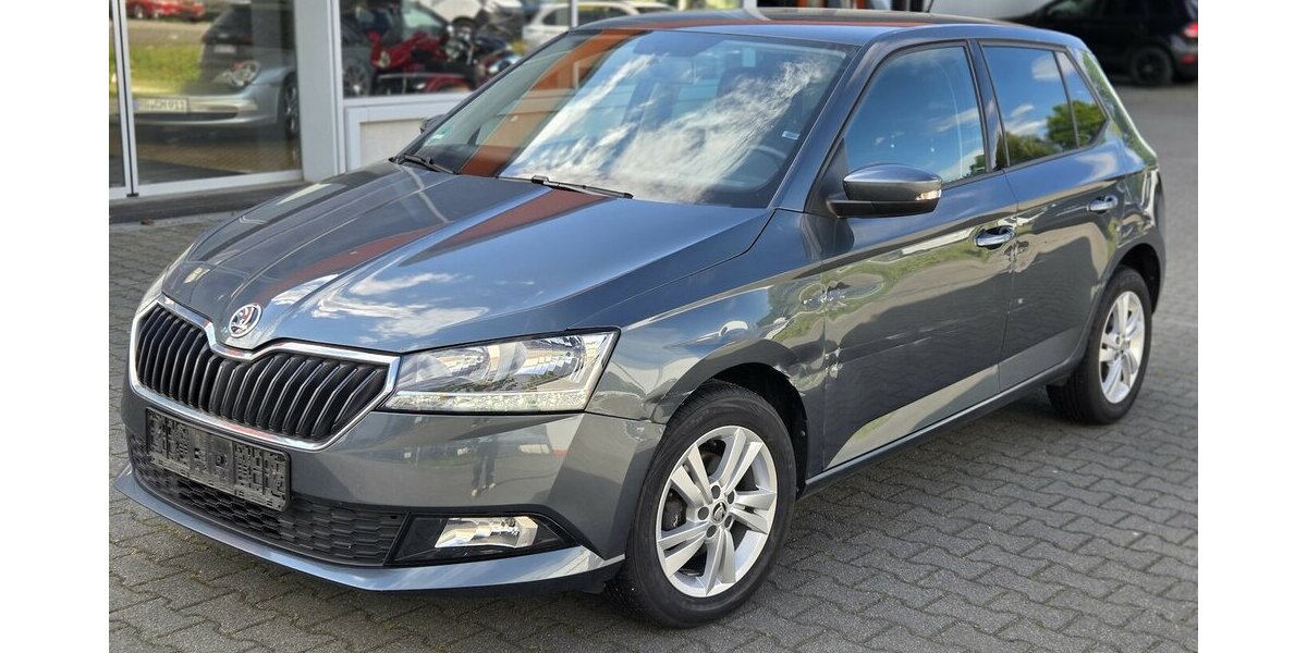 Skoda Fabia 1.0 TSI Car-Play/Android-Auto/Kamera 90.145 km 7.950 &euro; Wilsdruff 01723