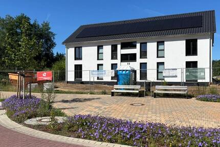 Wohnung Südheide Unterlüß - 1 Zimmer, 36 m&sup2;, 425&euro; | Angebot:25159906