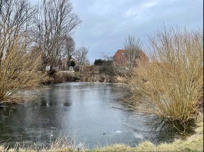 RUHIGER RÜCKZUGSORT AUF DER SONNENINSEL - Grundstück Fehmarn | Angebot:26319838