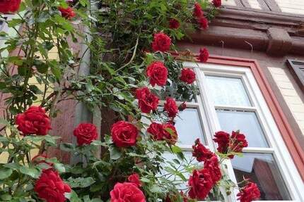 Haus Halberstadt - 4 Zimmer, 150 m&sup2;, 199.000&euro; | Angebot:25566047