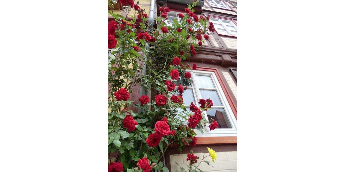 Reihenmittelhaus Halberstadt - 4 Zimmer, 150 m&sup2;, 199.000&euro; | Angebot:25566047