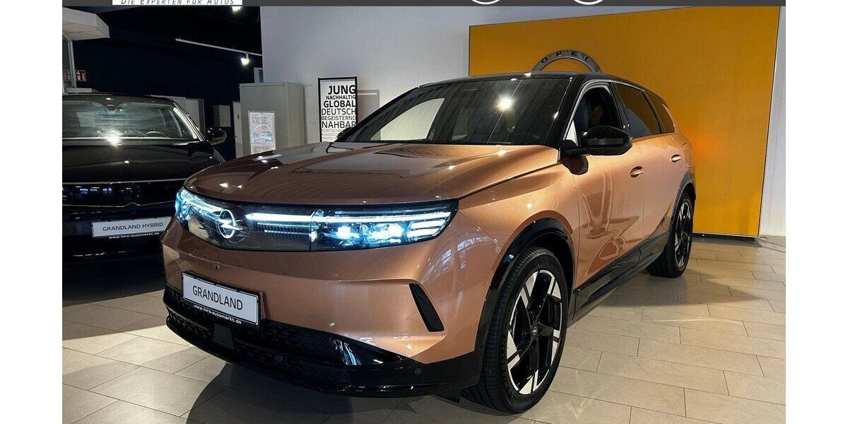 Opel Grandland (X) 13.805 km 36.990 &euro; Leer 26789