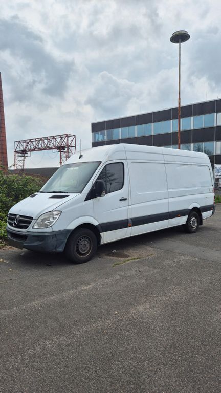Sprinter
