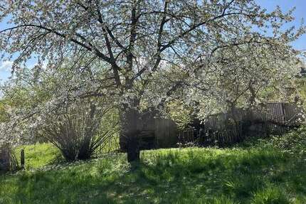 Grundstück Bad Griesbach - 160.000&euro; | Angebot:26216623