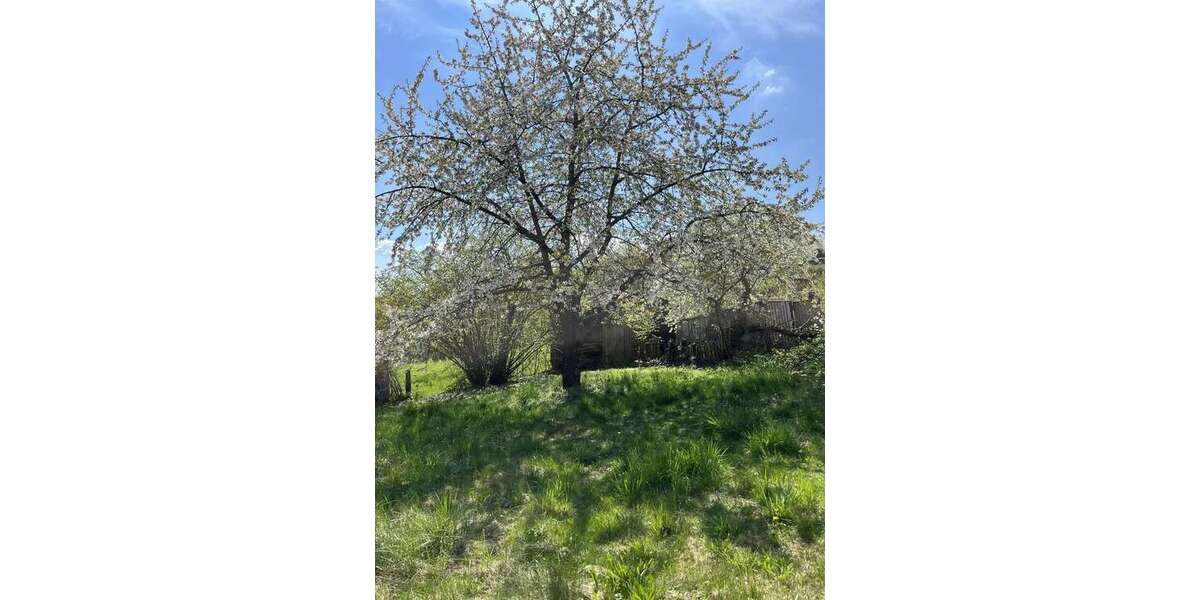 Grundstück Bad Griesbach - 160.000&euro; | Angebot:26216623