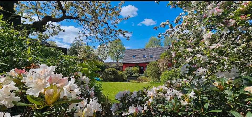 Einfamilienhaus Deutsch Evern - 7 Zimmer, 173 m&sup2;, 580.000&euro; | Angebot:27096922