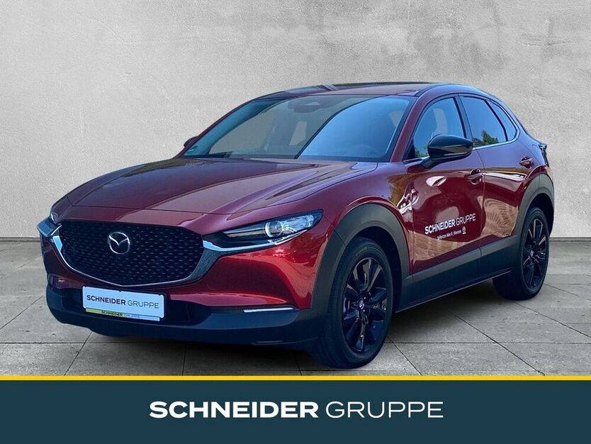 CX-30
