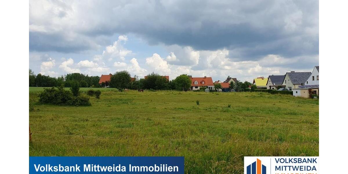Großes Grundstück mit Planung für 17 EFH in gefragter Lage! - Grundstück Hainichen | Angebot:16251757