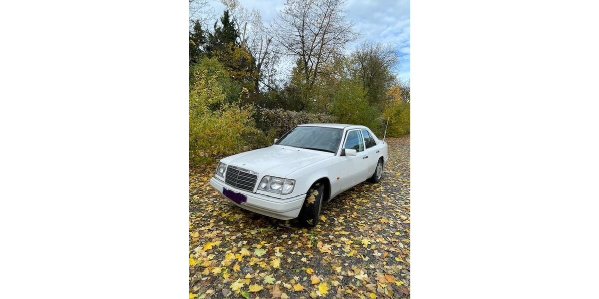 Mercedes-Benz 220 85.000 km 10.500 &euro; Seehausen 82418