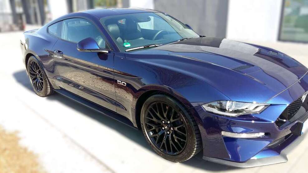 Mustang