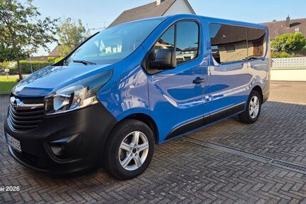 Opel Vivaro 76.500 km 17.000 &euro; Schwanau 77963