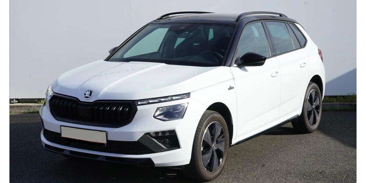 Skoda Kamiq 4.950 km 26.990 &euro; Pegau 04523